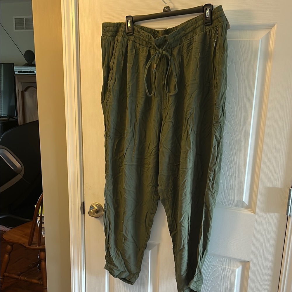 Terra and sky green pants 1x